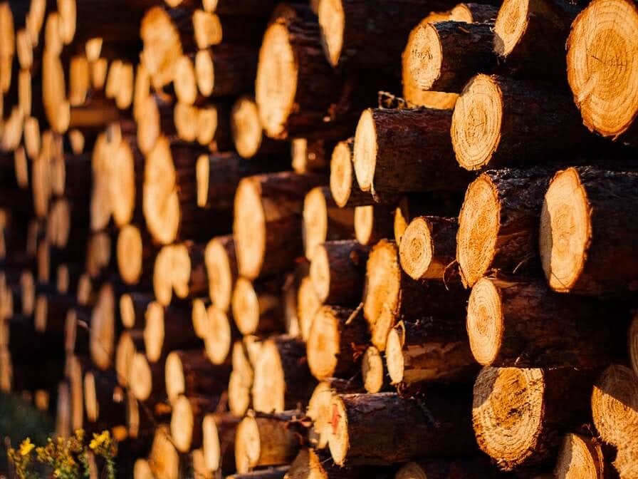 Festmeter Holz