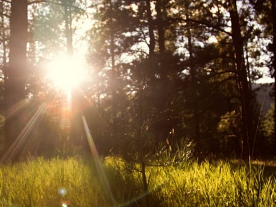 Regenerative Energien